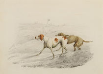 Two Pointers, facing left by Henry Thomas Alken