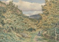 A Road near Bettws-y-Coed, 1851 von George Price Boyce