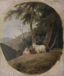 Kashmir Goats, c.1780-1820 by William Daniell