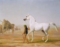 The Wellesley Grey Arabian led through the Desert von Jacques Laurent Agasse