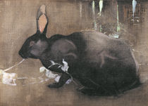A Black Rabbit by Joseph Crawhall