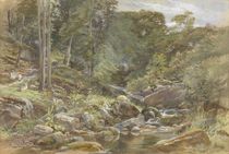 Larpool Beck, Whitby von Joseph John Jenkins