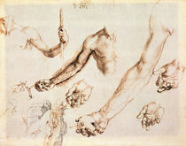 Study of male hands and arms von Albrecht Dürer