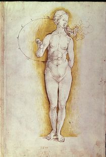 Female nude by Albrecht Dürer