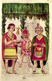 Illustration of Cincheroca by Spanish School