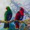 Eclectus-ac-on-board-24x20in