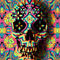 Skull-geo-50x70