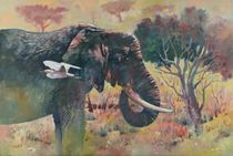 African elephant and egret von Geoff Amos