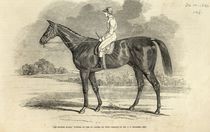 'Sir Tatton Sykes', Winner of the St. Leger by John Frederick Herring Snr