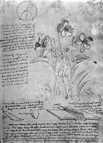 Studies of Violas , fol. 14r from Manuscript B von Leonardo Da Vinci