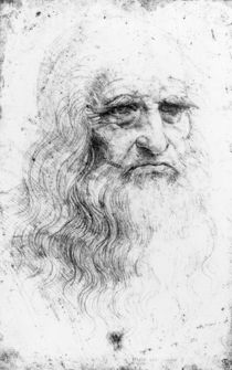 Self portrait von Leonardo Da Vinci