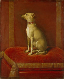 One of Frederick II's Italian greyhounds by German School