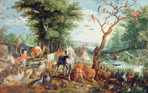 Noah's Ark von Jan Snellinck