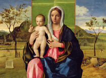 Madonna and Child, 1510 von Giovanni Bellini