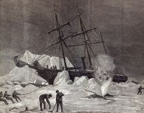 'Pandora' nipped in the ice by English School