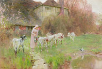 Feeding the Calves by Robert Gustav Meyerheim
