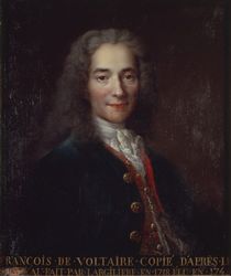 Portrait of Voltaire by Catherine Lusurier