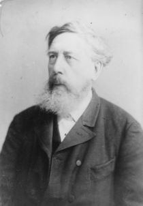 Wilhelm Liebknecht von German Photographer