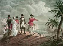Bonaparte on St. Helena von Francois Martinet