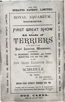 Poster advertising the Allied Terrier Club Show at the Royal Aquarium von English School