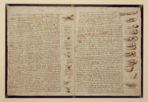 A page from the Codex Leicester by Leonardo Da Vinci