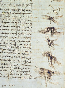 Scientific diagrams, from the 'Codex Leicester' von Leonardo Da Vinci