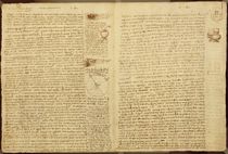 A page from the Codex Leicester von Leonardo Da Vinci