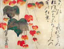 Autumn Ivy after 1732 by Ogata Kenzan