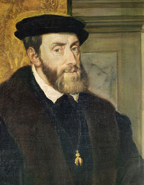 Detail of Seated Portrait of Emperor Charles V 1548 by Titian