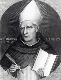 St Albertus Magnus, 1851 by English School