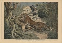 Marquis of Barthelemy wounded by a tiger von French School