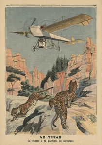 Hunting panthers from an airplane in Texas by French School