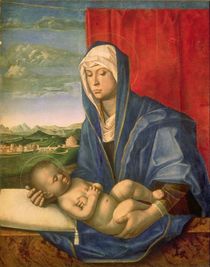 Virgin and Child von Giovanni Bellini