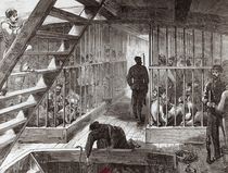 Caged prisoners on route to Botany Bay by English School