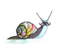 Funky Snail von Jessica May