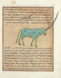 Ms E-7 fol.191b Rhinoceros by Islamic School