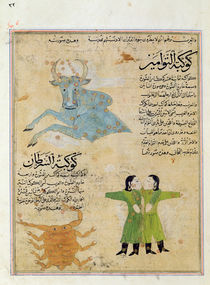 Ms E-7 fol.23a The Constellations of the Bull by Islamic School