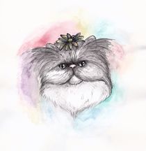 Persian Flower Cat  by Jessica May