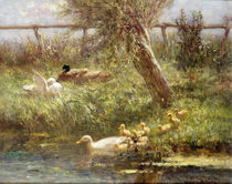 Ducks and ducklings von David Adolph Constant Artz
