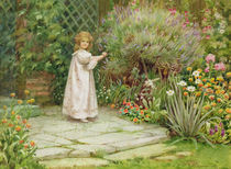 My Garden by William Ashburner