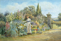 In the Garden von William Ashburner