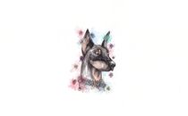 Delicate Doberman by Jessica May