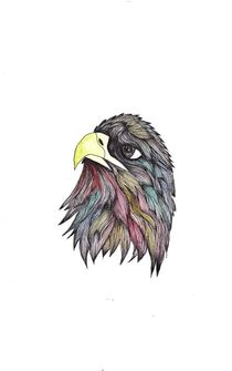 Multicoloured Eagle von Jessica May