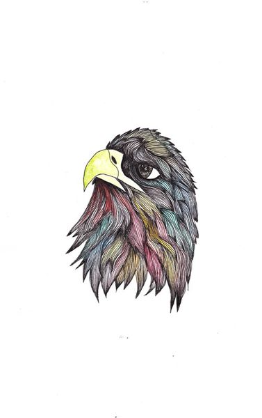 Eagle-colour-edit
