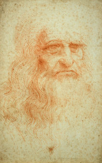Self portrait, c.1512 by Leonardo Da Vinci