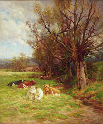 Cattle grazing von Charles James Adams