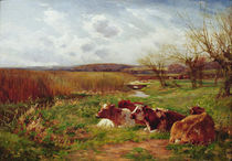 In the Meadow by Charles James Adams