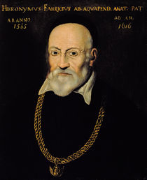 Portrait of Hieronymus Fabricius von Italian School