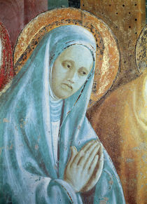Head of Saint Anne from the Presentation of Mary in the Temple by Paolo Uccello