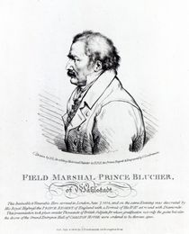 Field Marshal Prince Blucher of Wahlstadt von Peter Eduard Stroehling